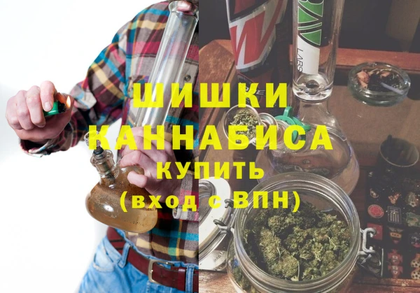 гидра Аркадак
