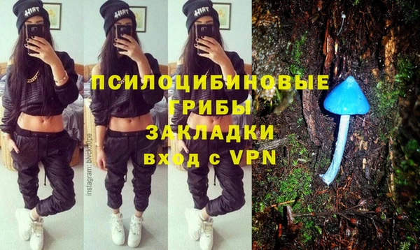 гидра Аркадак